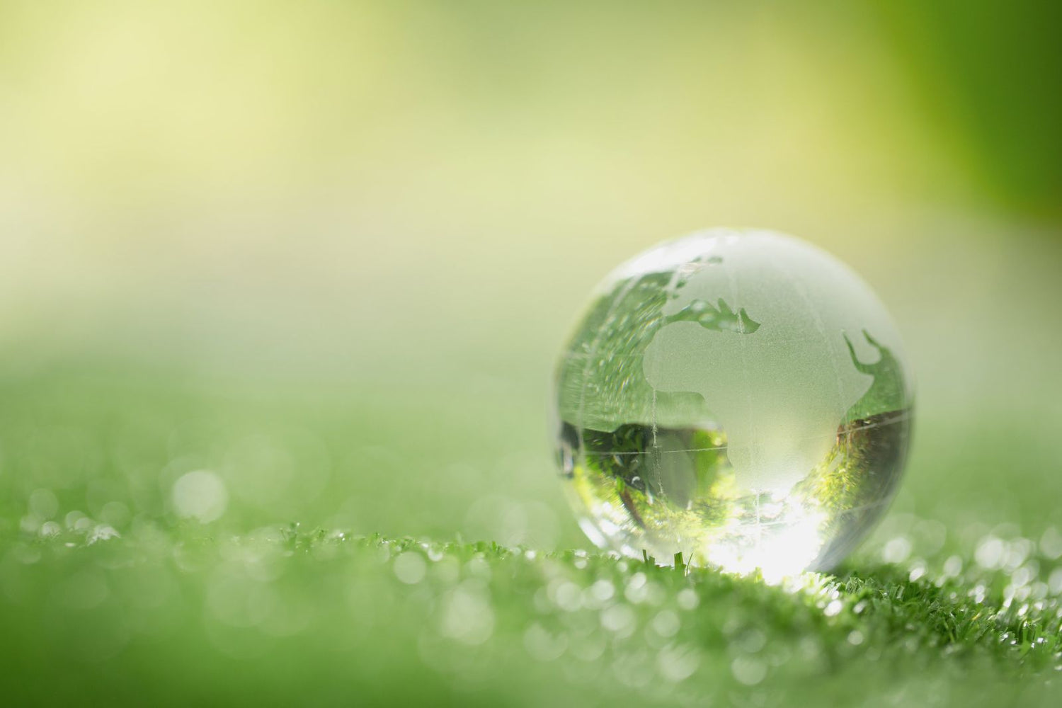 développement durable des produits cosmétiques