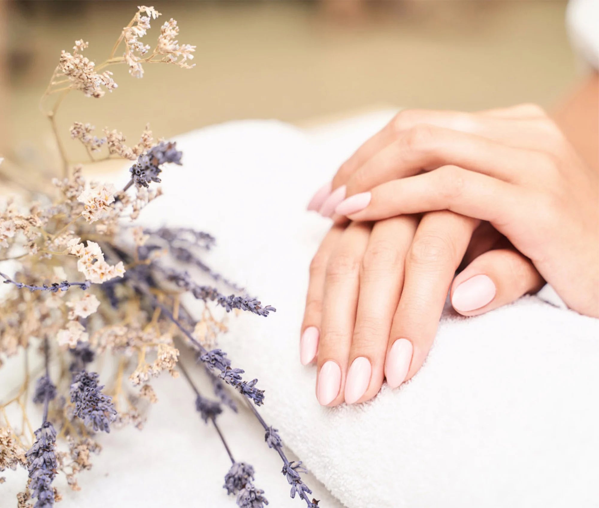 Fournisseur de produits cosmétique  Gamme soin de peau