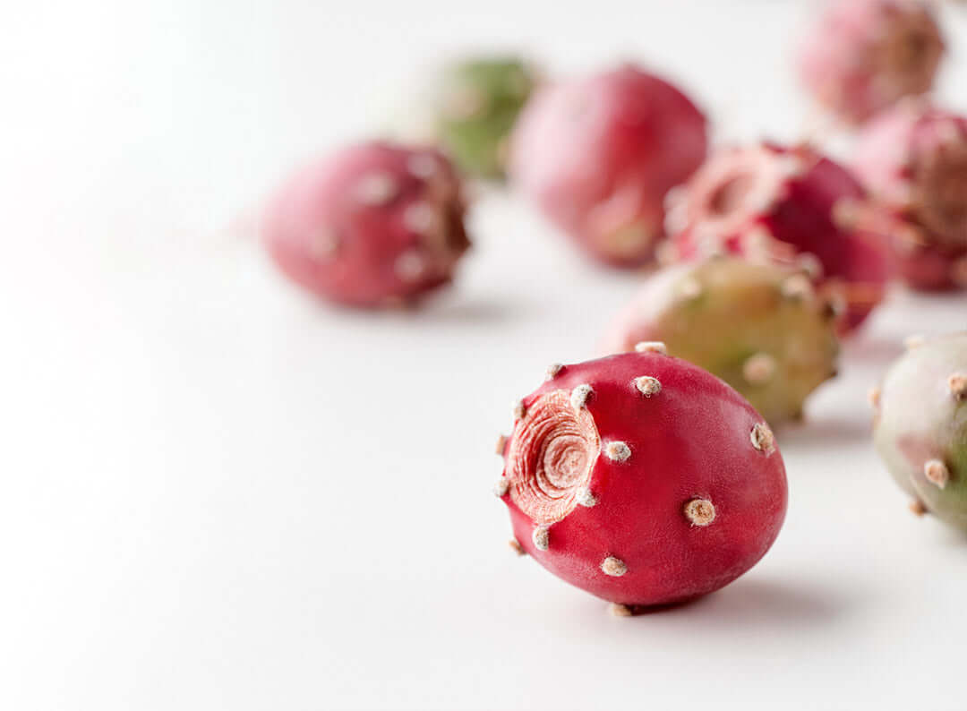 The Magic of Organic Prickly Pear Seed Oil for Anti-Aging