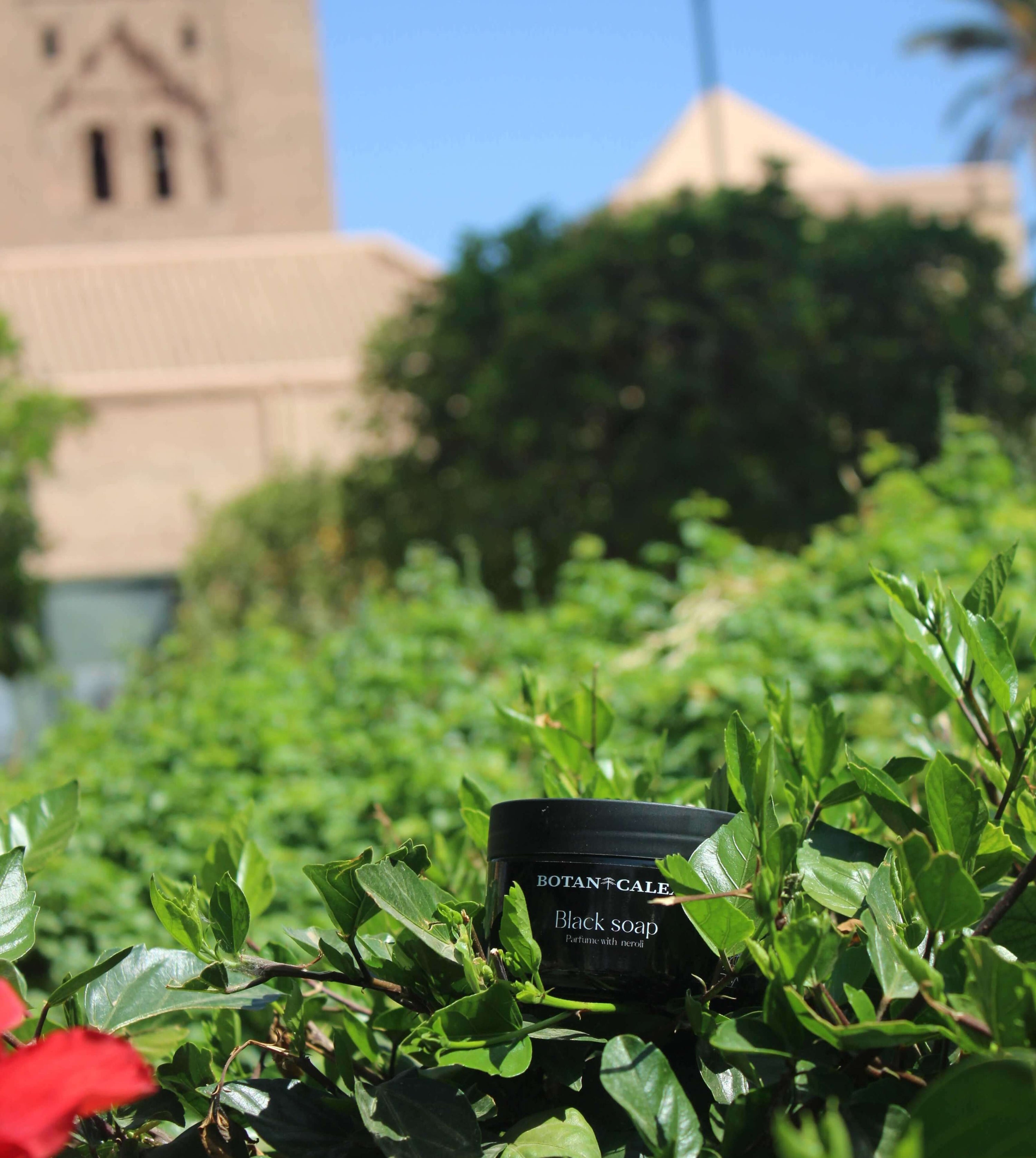 moroccan black soap